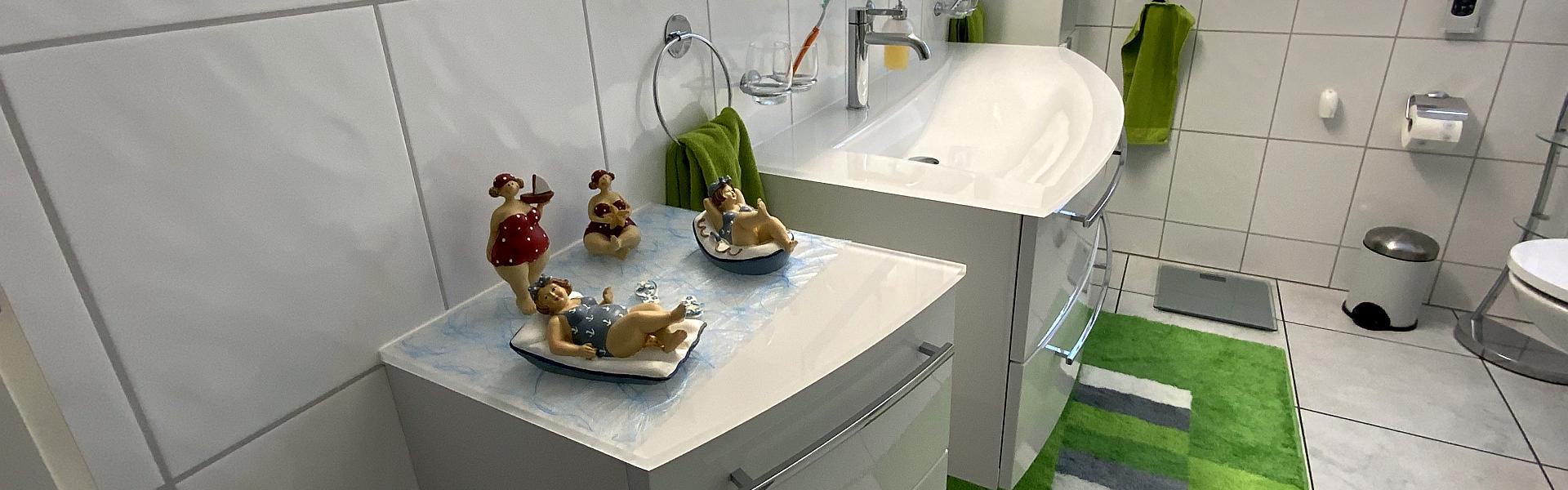 Sanierung Dusche in Brunegg